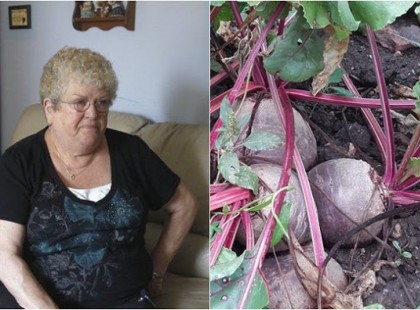 67 éves vagyok, és ez a növény visszaadta a látásom, eltávolította a zsírt a májamról, és teljesen megtisztította a beleimet! Szeretném, ha erről a csodás módszerről mindenki tudna hazánkban!