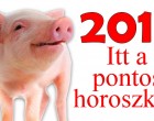 Ragyogó év lesz : 2019 a disznó éve lesz, íme, a pontos horoszkóp!