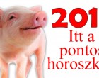 Ragyogó év lesz : 2019 a disznó éve lesz, íme, a pontos horoszkóp!