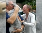 A kutya elájult a mérhetetlen boldogságtól! Hihetetlen felvételek egy kutya és egy ember újbóli találkozásáról!