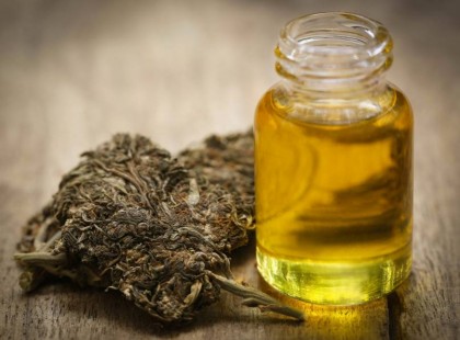 Kannabisz olaj: ezért nyomja el a gyógyszeripar, és nem beszélnek róla!