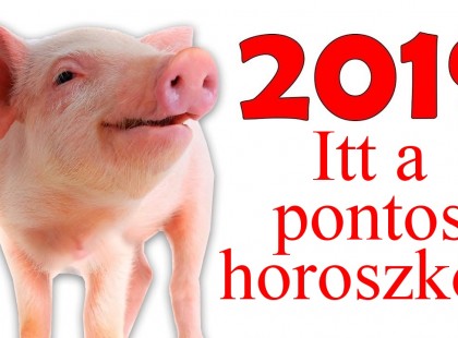 Ragyogó év lesz : 2019 a disznó éve lesz, íme, a pontos horoszkóp!