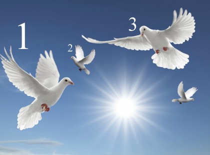 Válassz egy galambot, ami megmutatja hogy indul majd az éved