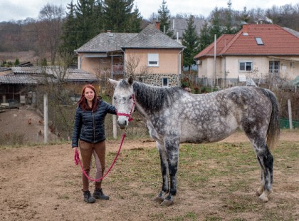 Karácsonyra felejthetetlen élményt ajándékozna a gyerekeknek