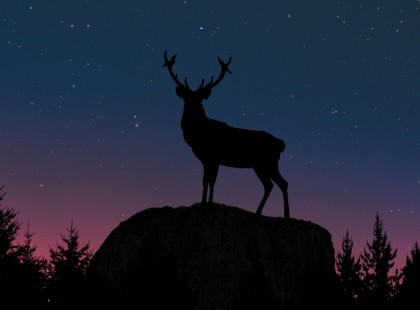 Szerencsehozó Csodaszarvas – Oszd meg és teljesül, amire vágysz!