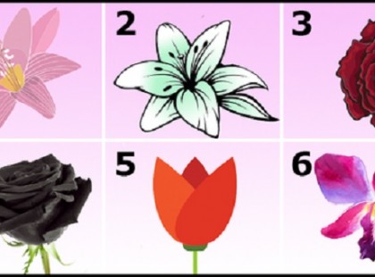 Melyik virágot tartod a legszebbnek az alábbiak közül? Válassz és megtudhatod, mit árul el a személyiségedről!