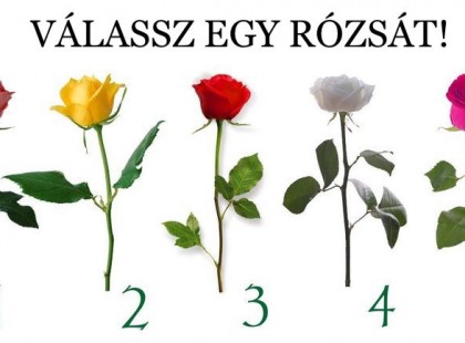 Teszt: a kiválasztott rózsa elárulja, milyen vagy a szerelemben!