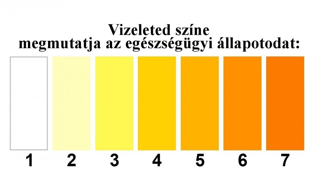 A vizelet színe | BENU Gyógyszertár