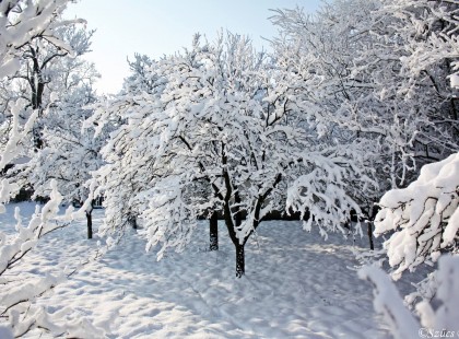 1 méteres hó esett Erdőtkán! ! 10 megyére adtak ki vészjelzést!