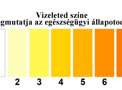 A vizeleted színe jelzi, hogy mennyi vizet kell innod a nap folyamán