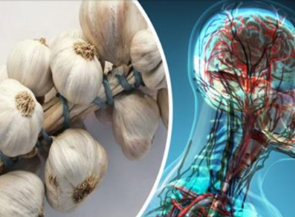 Ezért arany a fokhagyma a test számára!