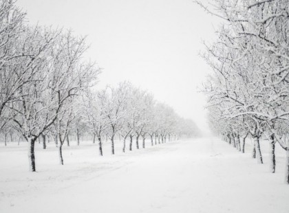 Most kezdődik: terjedelmes havazás tart nyugatról Budapest felé, az egész országban havazás lesz ma