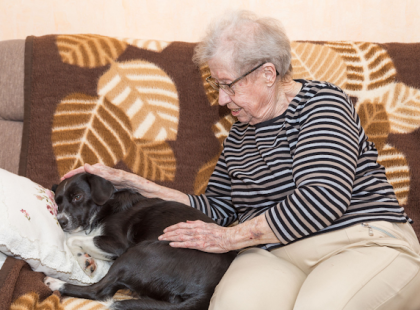 TE aljas gazember, aki tegnap délután kezet mertél emelni a 81 éves édesanyámra azért, mert EZT merte neked mondani?! Mégis milyen embernek tartod magad?! Kérek szépen minden jóravaló embert, hogy segítsen egy megosztással megtalálni őt!