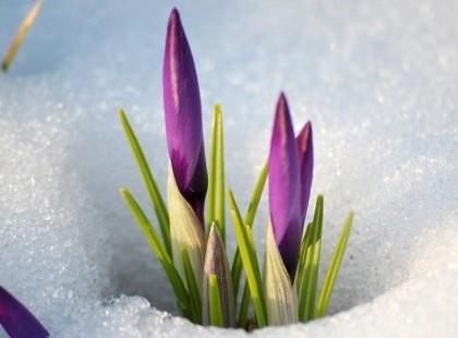 Ekkor köszönt be a tavasz!