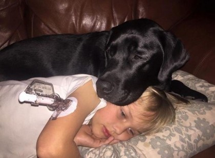 Az anya a kutya vicsorgó hangjára ébredt fel! Belépett a fia szobájába, és megdöbbentve látta…