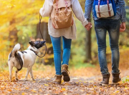 Ezt teszi a testeddel napi 15 perc gyaloglás. Drasztikus változásra számíthatsz