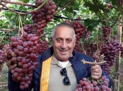 Így néz ki az igazi szőlőerdő! Ebből a fajta szőlőből jó lenne egy vessző.:)