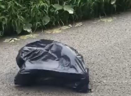 Ez az autós talált egy mozgó zacskót az úton. Remegni kezd mikor meglátja mi van benne