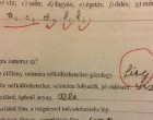 20 magyar dolgozat, amin minden tanár sírva nevetett.