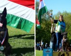 Óriási büszkeség: Magyar kutya lett a világ legjobb mentőkutyája