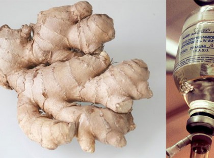 A gyömbér hatékonyabb, mint a kemoterápia?