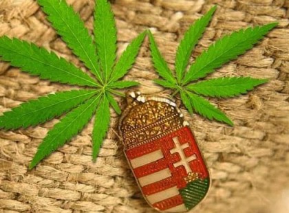 Száműzött haszonnövényünk a kender: az ősmagyar kenderes gyógyításról...