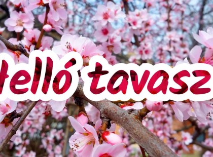 Csütörtökön beköszönt a tavasz!Akár 20 fok is lehet ! <3