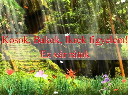 Kosok, Bakok, Ikrek figyelem! Ez vár rátok