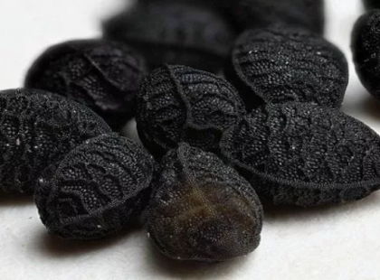 Csak a halált nem gyógyítja: cukorbaj, rák, agyvérzés, vérnyomás csökkentő, és még sok más betegség ellenszere!