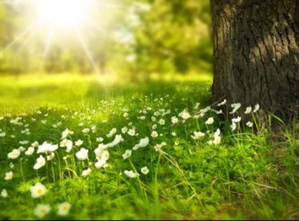 ITT A NAGY tavaszi időjárás előrejelzés : ilyen időt jósolnak február végére, MÁRCIUSRA ÉS ÁPRILISRA!