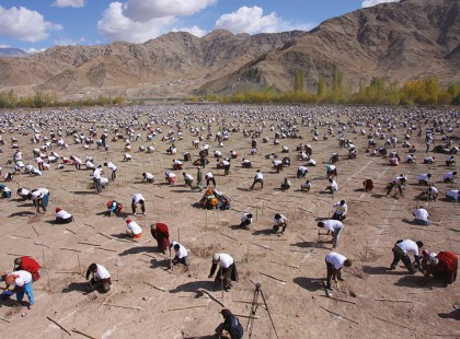 A Fülöp-szigeteken mindössze egy óra alatt 2,3 millió fát telepítettek.