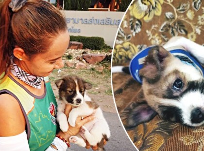 30 kilométert futott ez a maratonista lány egy kóbor kiskutyával, akit az út mentén talált verseny közben - VIDEÓ