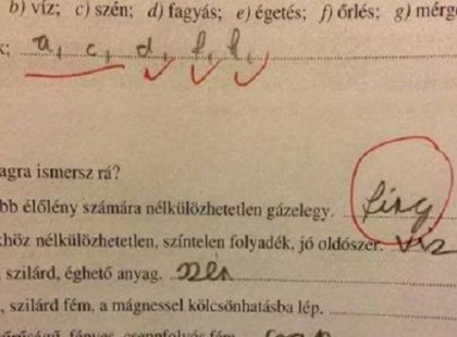 20 magyar dolgozat, amin minden tanár sírva nevetett.
