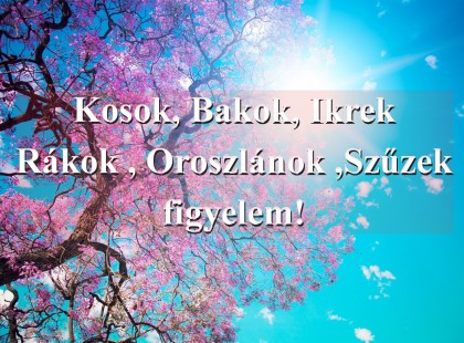 Kosok, Bakok, Ikrek ,Rákok , Oroszlánok ,Szűzek figyelem! Nektek ma minden összejön. A többiek viszont...