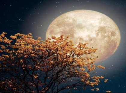 A február 20-i Szuperhold hatása a csillagjegyedre!