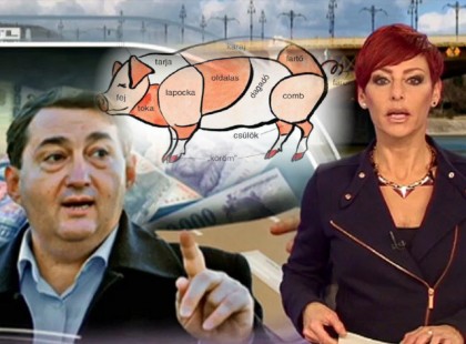 Fél disznót kap a Mátrai Erőmű minden dolgozója Mészáros Lőrinctől