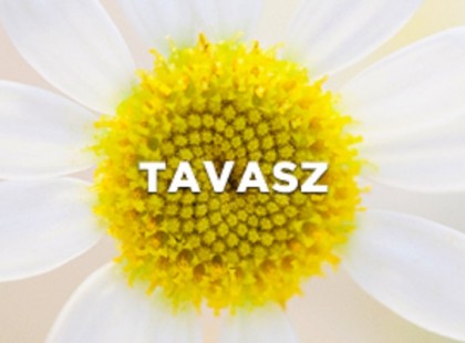 Végleg megérkezik a tavasz !Ekkor érkezik