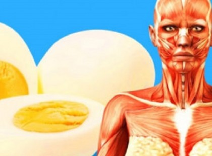 Ez a 9 dolog fog történni a testeddel, ha megeszel naponta 2 tojást