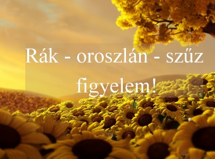 Rák - oroszlán - szűz figyelem! Holnapi horoszkóp