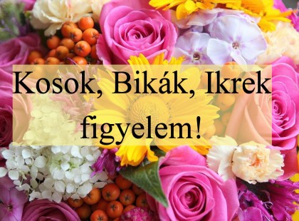 Kosok, Bikák, Ikrek figyelem! Holnapi horoszkóp