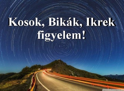 Kosok, Bikák, Ikrek figyelem! Holnapi horoszkóp