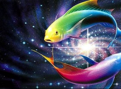 20 titok, amit eddig nem biztos, hogy tudtál a Halakról!