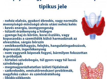 A pajzsmirigy alulműködés néhány tipikus jele