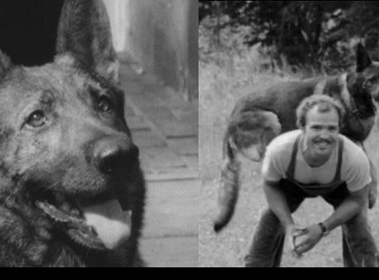 Kántor, Família Kft., Tüskevár, Angyalbőrben... - Emlékszel rájuk?