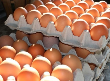 Brutális áremelést jelentettek be! Pár héten belül az egekbe szökik a tojás ára! Vérlázító, hogy mennyibe fog kerülni 1 tojás – itt az ár, ezen te is ledöbbensz!