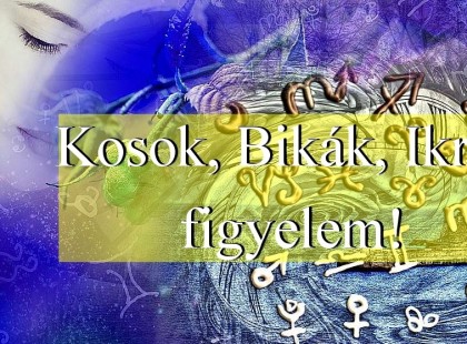 Kosok, Bikák, Ikrek figyelem!