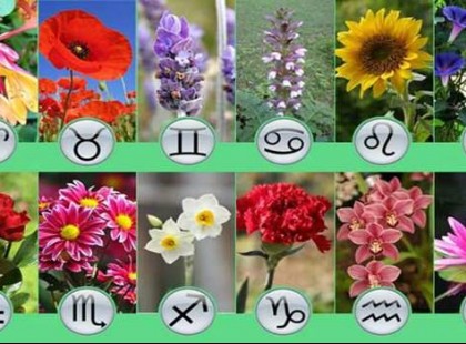 Nézd meg a virág horoszkópod, sok mindent megtudhatsz magadról