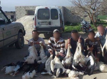 Elindultak a fehér gólyák a költőhelyekre, ez a 4 vadász legalább 50-et kilőtt belőlük.