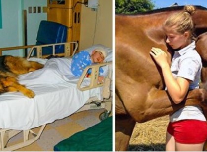 17 szívmelengető fotó, ami bizonyítja, hogy az igaz szerelem és barátság örökké él