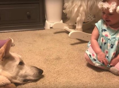 A baba a kutya személyes terébe mászik, hogy megpuszilja - a reakcióra senki sem számított a családból